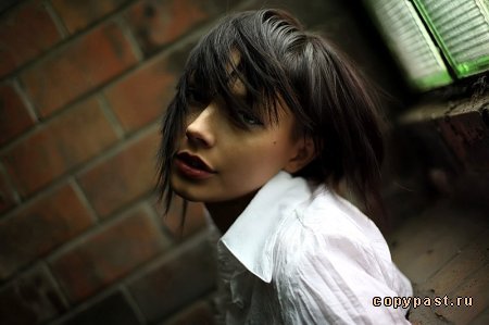 Т/ц Ботевград