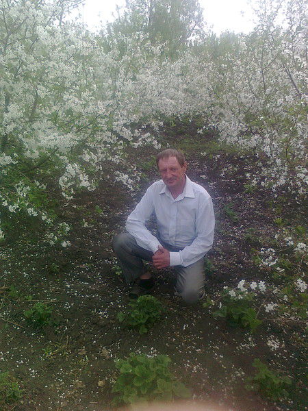 Николай Сурмяк