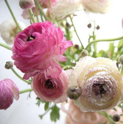 Валида Гареева