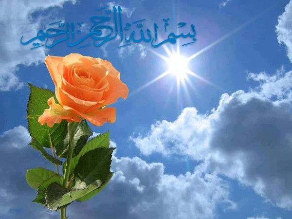 Zebunniso Muhammadrashod