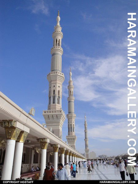 Жангуль Тлеуленова