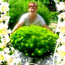 Светлана Любимцева