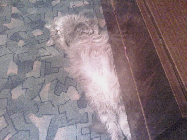 Юлия Филиппова