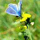 Luba Polishuk