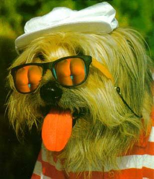 Лариса Прокопчик