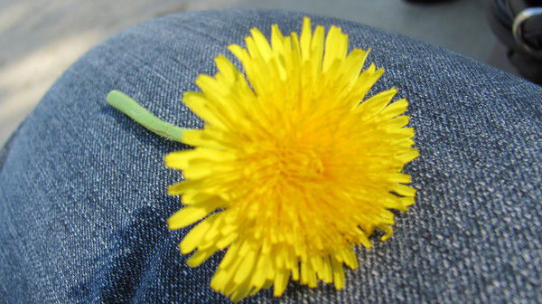 Наташа Тимошенко