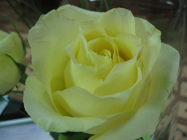 Ольга Иванова