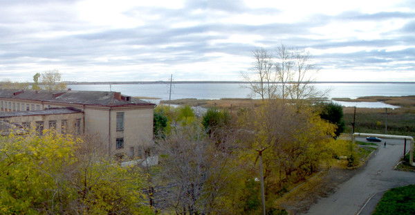 Светлана Гущина