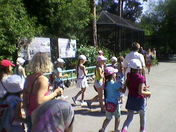 Насиба Аманалиева