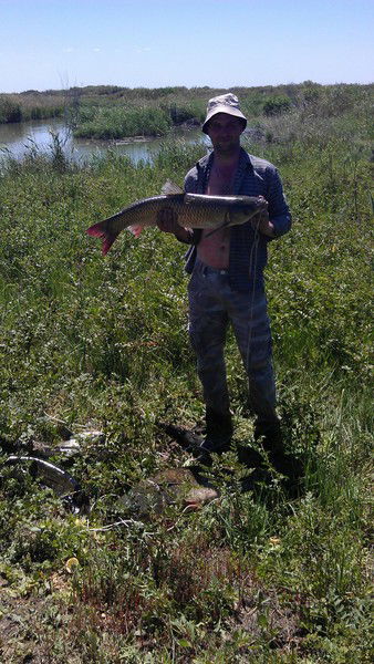 Виктор Белоусов