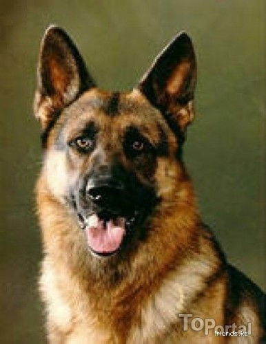 Александр К