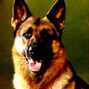 Александр К