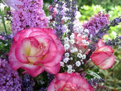 Татьяна Уржанакова