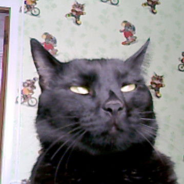 Оля Колесникова