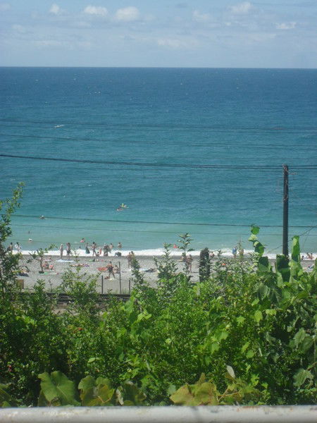 Дмитрий Бурых