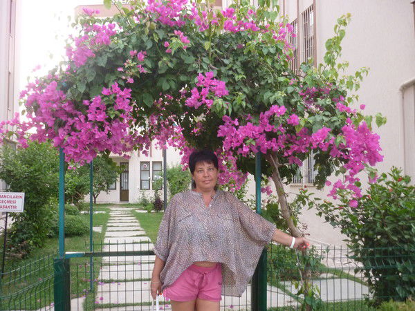 Елена Черноброва