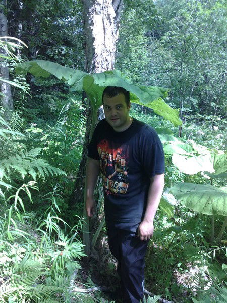 Терентий Довженко