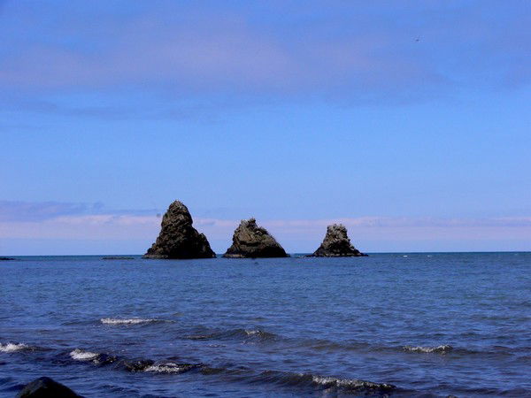 Елена Чебакова