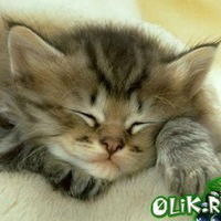 София Муромцева