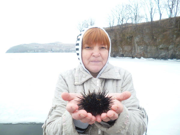 Марина Дрокова