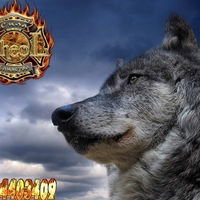 Виктор Кудрявцев