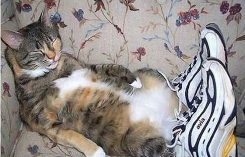 Павел Новожилов