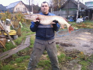 Дмитрий Лабза