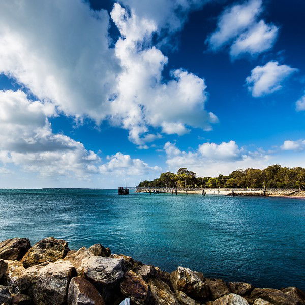 Марина Васильева