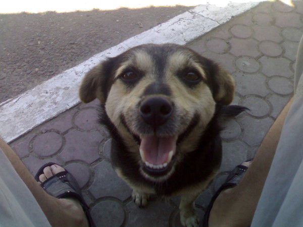 Сергій Комар