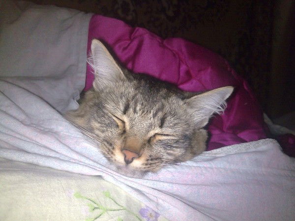 Андрей Легких