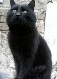 Андрей Михеев