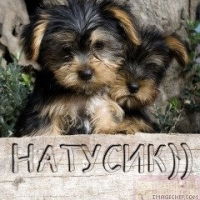 Наталья Ступникова