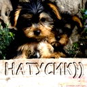 Наталья Ступникова