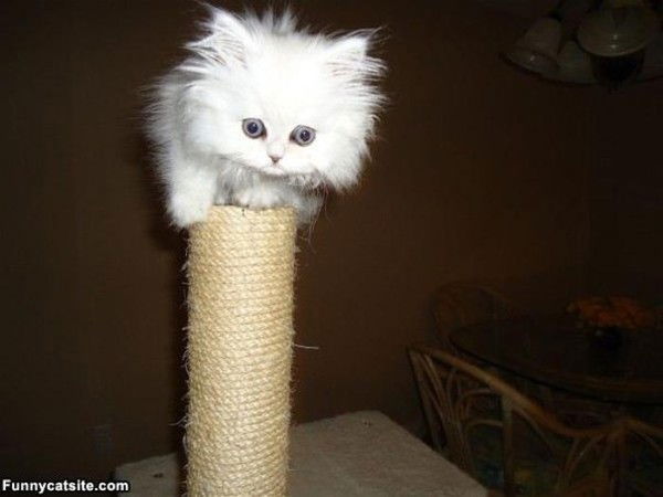 Дарья Саблина