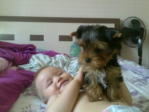 Маленький Каприз Княжны