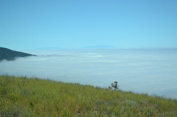 Наиля Панова