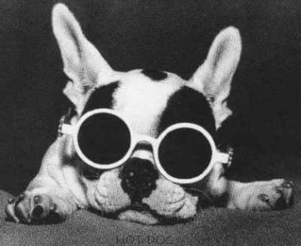 Елена Козлова