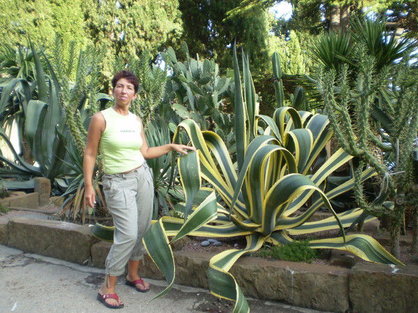 Татьяна Исаева