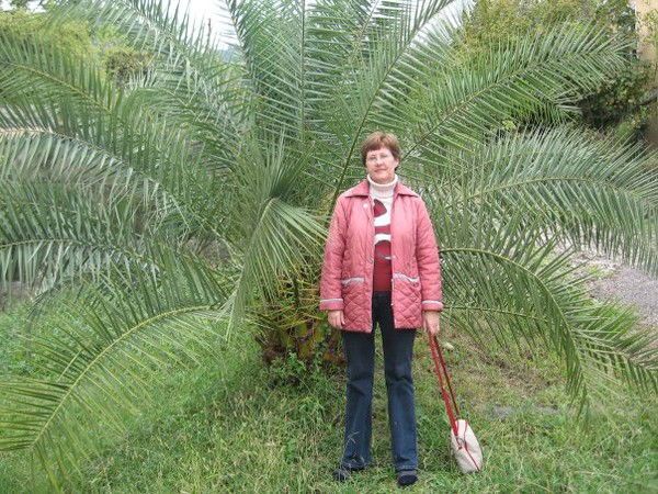 Вера Кузьмина