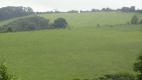 Ойбек Шамсиддинов