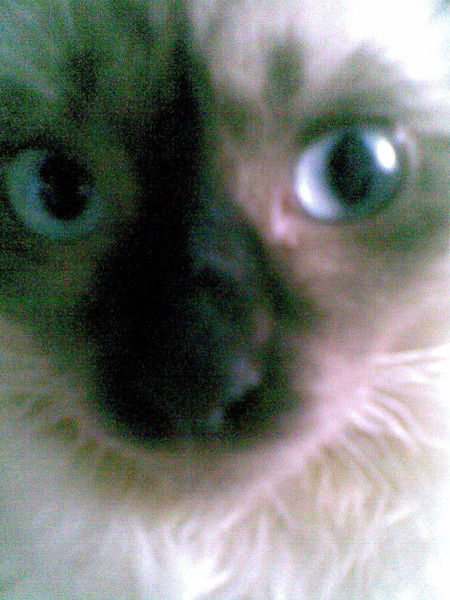 Оксана Ламтева