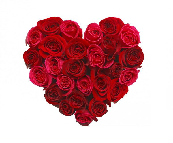 Подари Трек