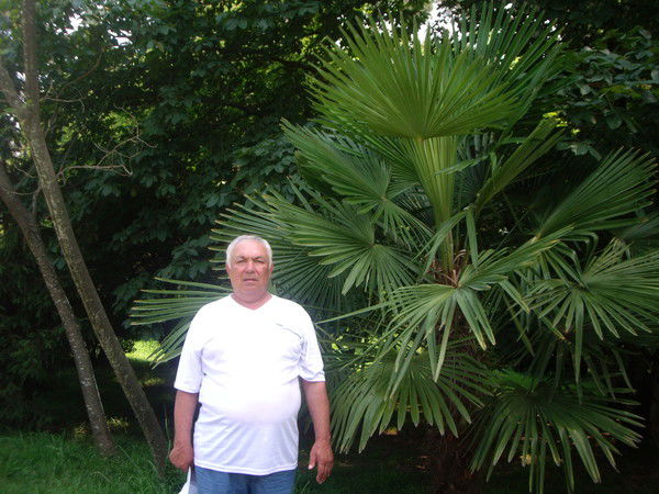 Владимир Косарев