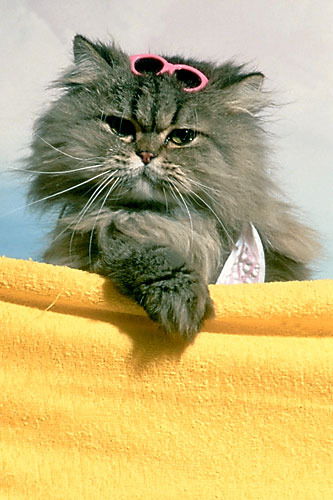 Галина Калинина