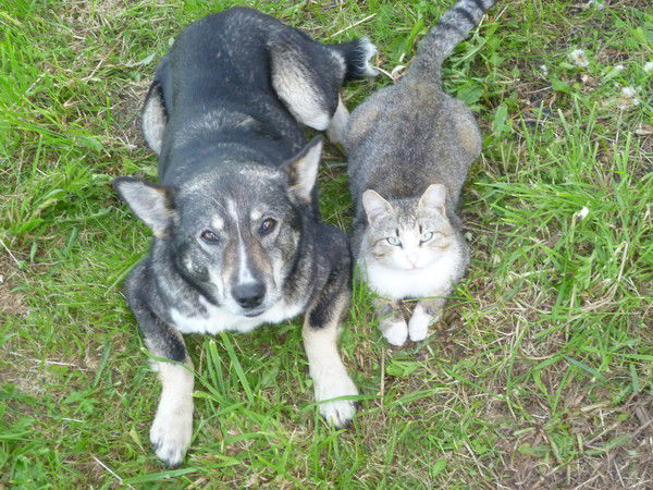 Николай Лолов