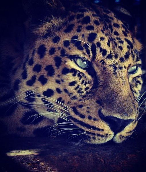 Гульнур Конакбаева