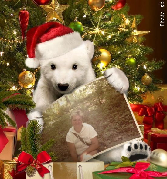 Анна Ковалёва