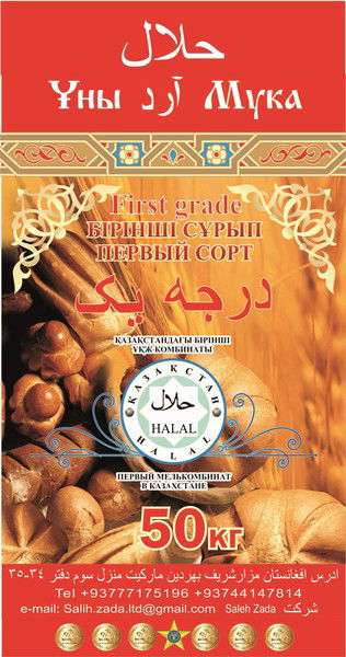 Too Saleh Zda Kz Rais