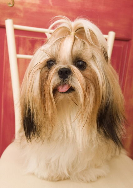 Ольга Москаленко