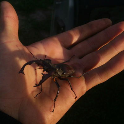 Павел Федюков